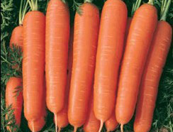 What nutritional value of carrot?